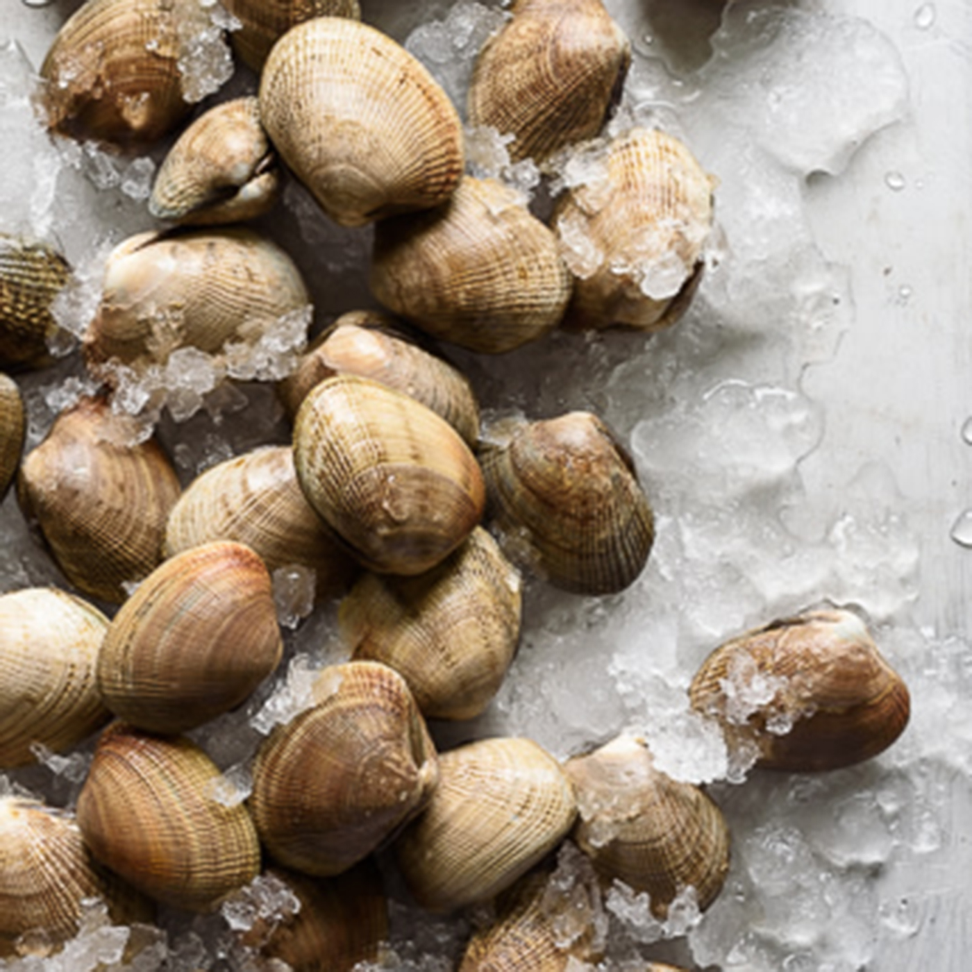 Manila Clams (Large) 20-45PC/KG, 5.0-6.5CM - Esclusivo