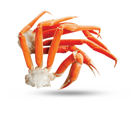 Snow Crab Leg & Claw